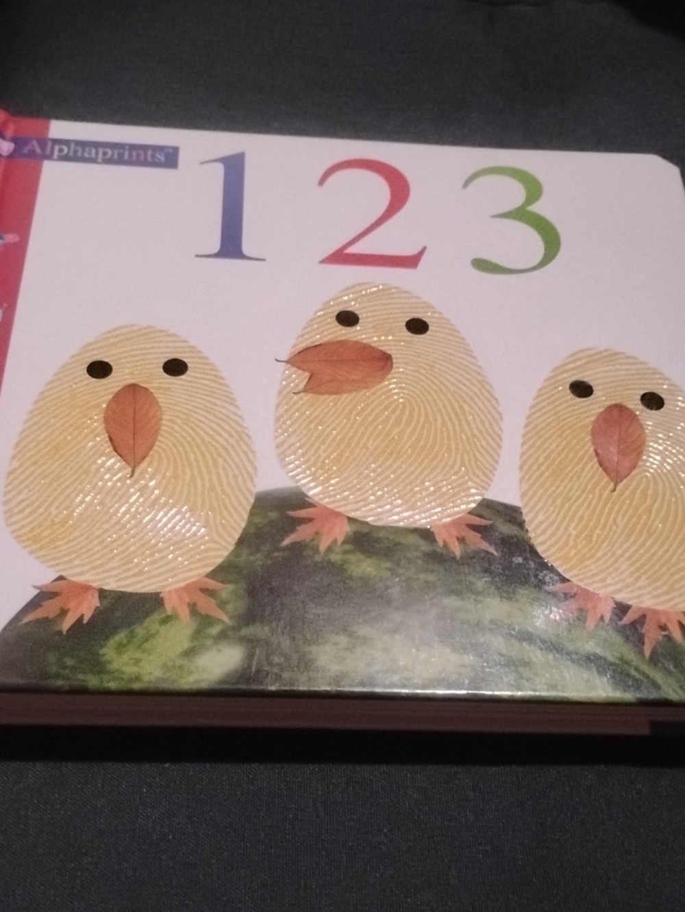Yellow Chick Illustration Bird Book Cover